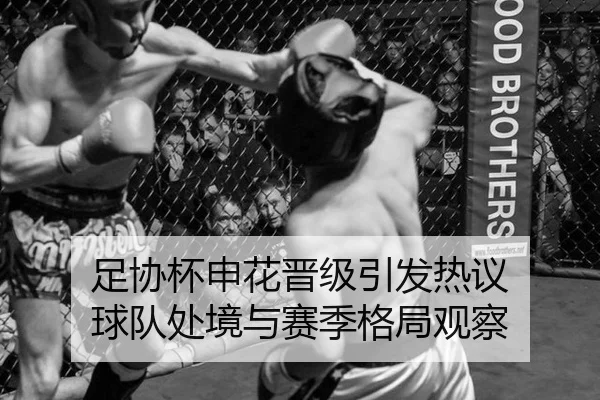 足协杯申花晋级引发热议 球队处境与赛季格局观察 | hth
